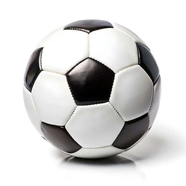 安全与公平承诺